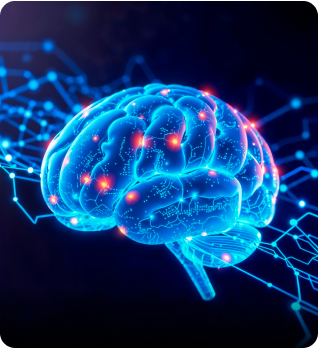 Neurological Support