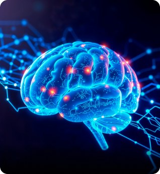 Neurological Support