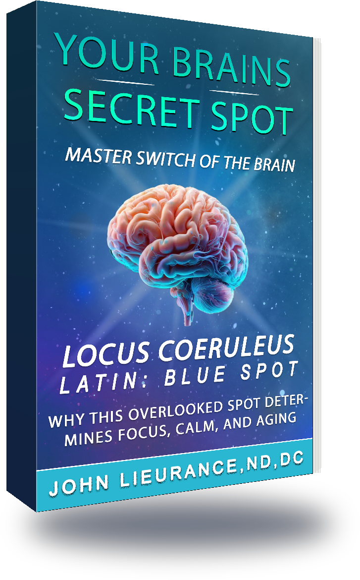 The Brain's Secret Spot — eBook (PDF)