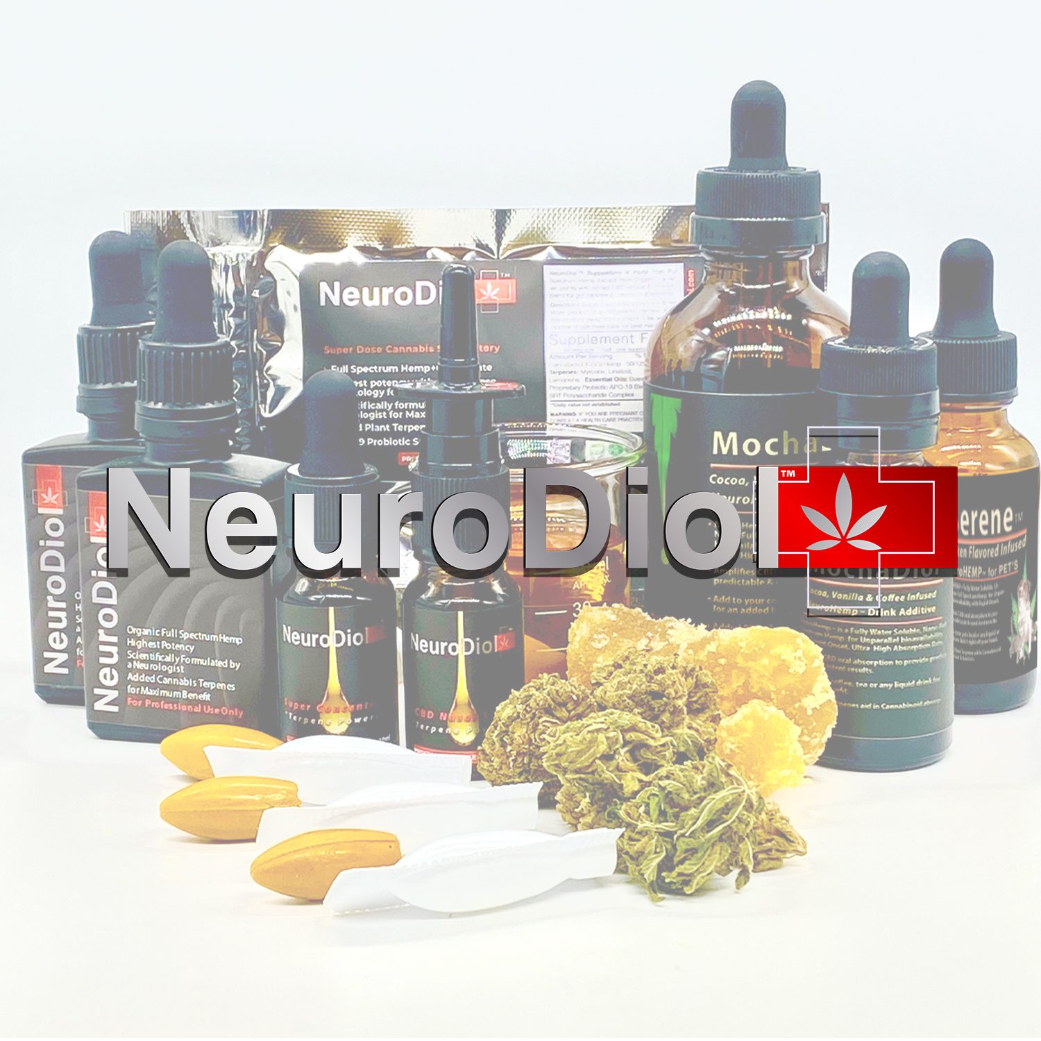 Product Logo pics NEuroDiol
