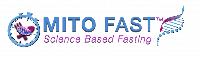 Mito Fast Logo 2