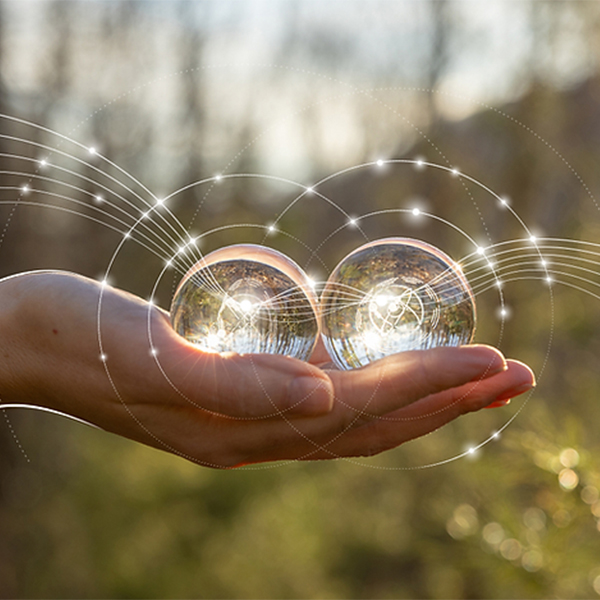 Eluumis Matter Program