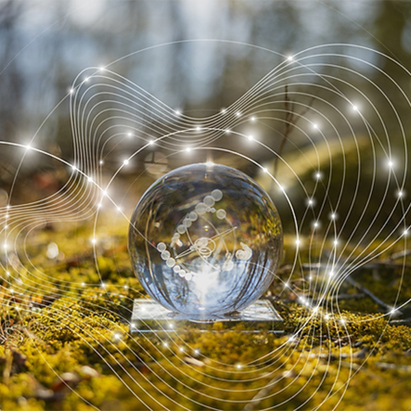 Eluumis Sky & Matter